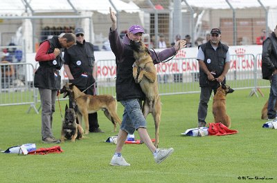 Remise des Prix 147.JPG - CHIENPLUS.COM